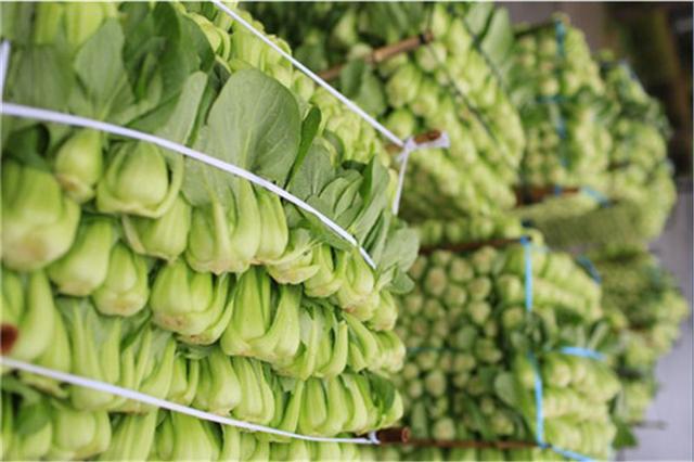 如意餛飩：好吃的餛飩，從細(xì)節(jié)抓起